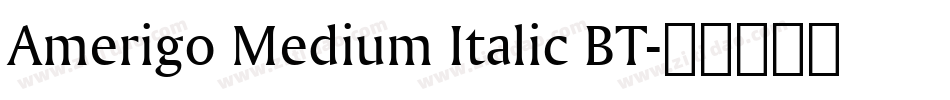 Amerigo Medium Italic BT字体转换